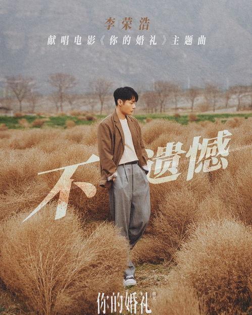 国产遗憾的歌曲大全视频,那些年错过的经典旋律  第3张